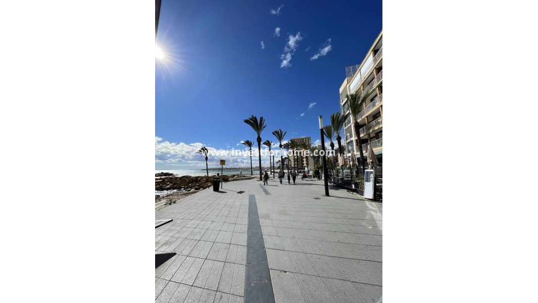 Reventa - Apartamento - Torrevieja - Playa de cura