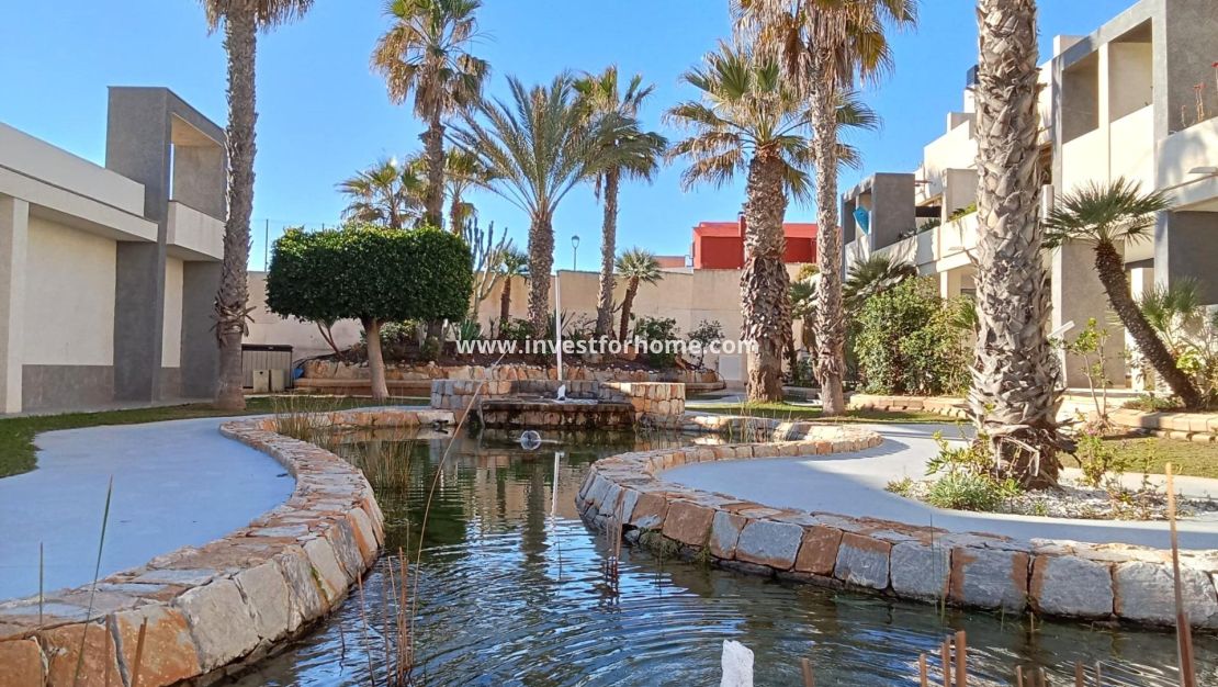 Reventa - Apartamento - Torrevieja - Playa De La Mata