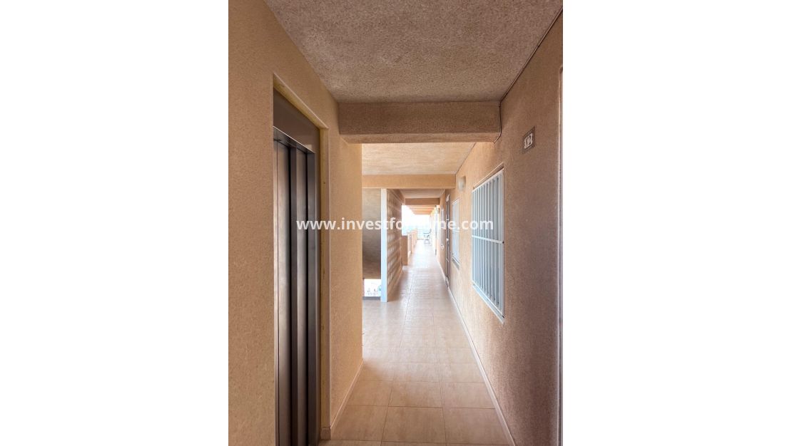 Reventa - Apartamento - Torrevieja - Playa de los Locos