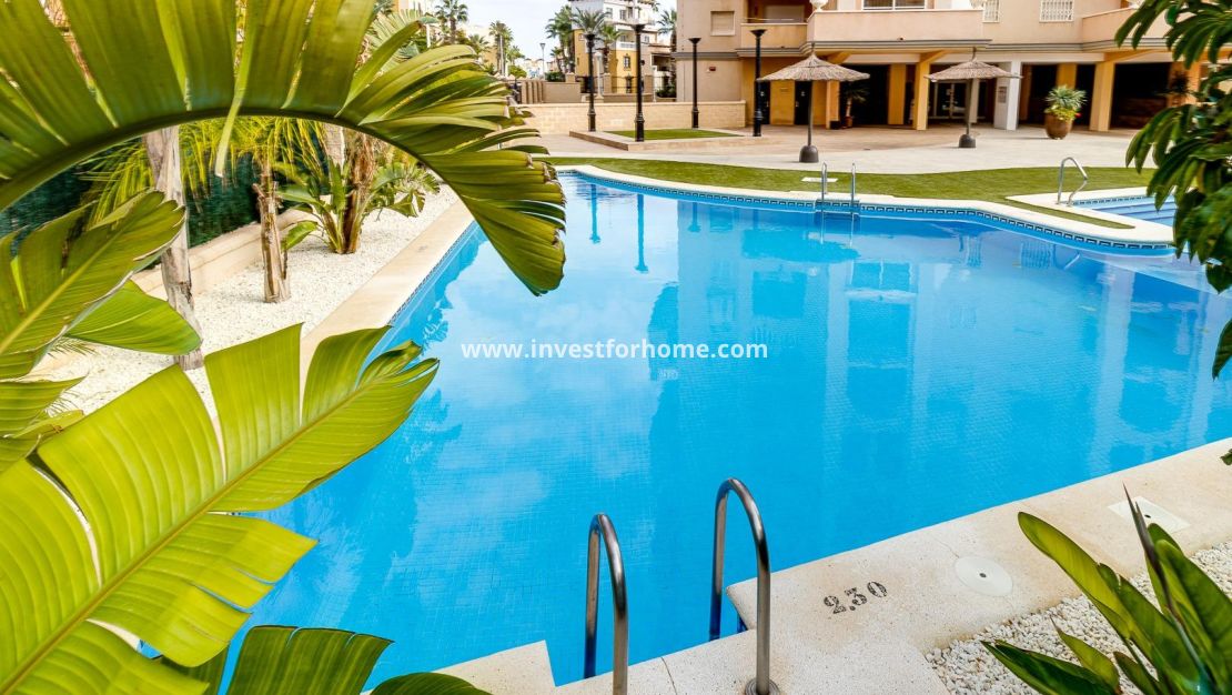 Reventa - Apartamento - Torrevieja - Playa de los Locos