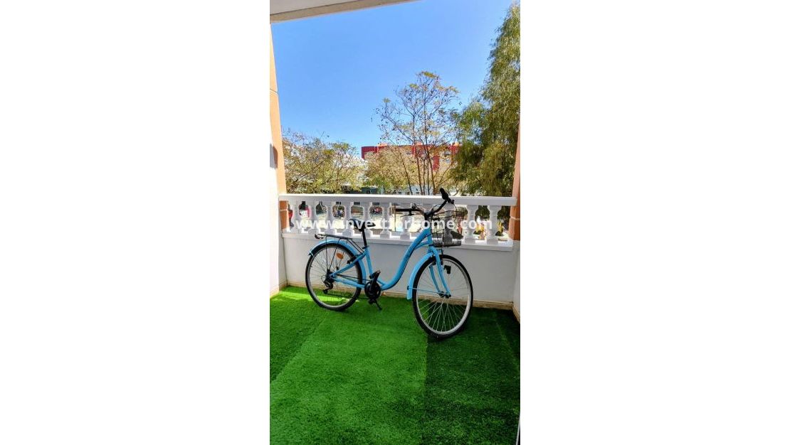 Reventa - Apartamento - Torrevieja - Playa de los Locos