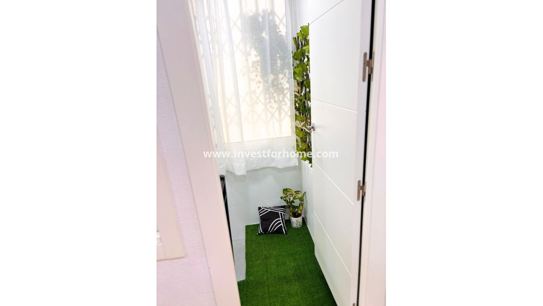 Reventa - Apartamento - Torrevieja - Playa de los Locos