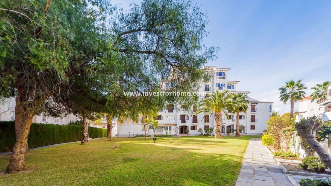 Reventa - Apartamento - Torrevieja - Playa de los Locos