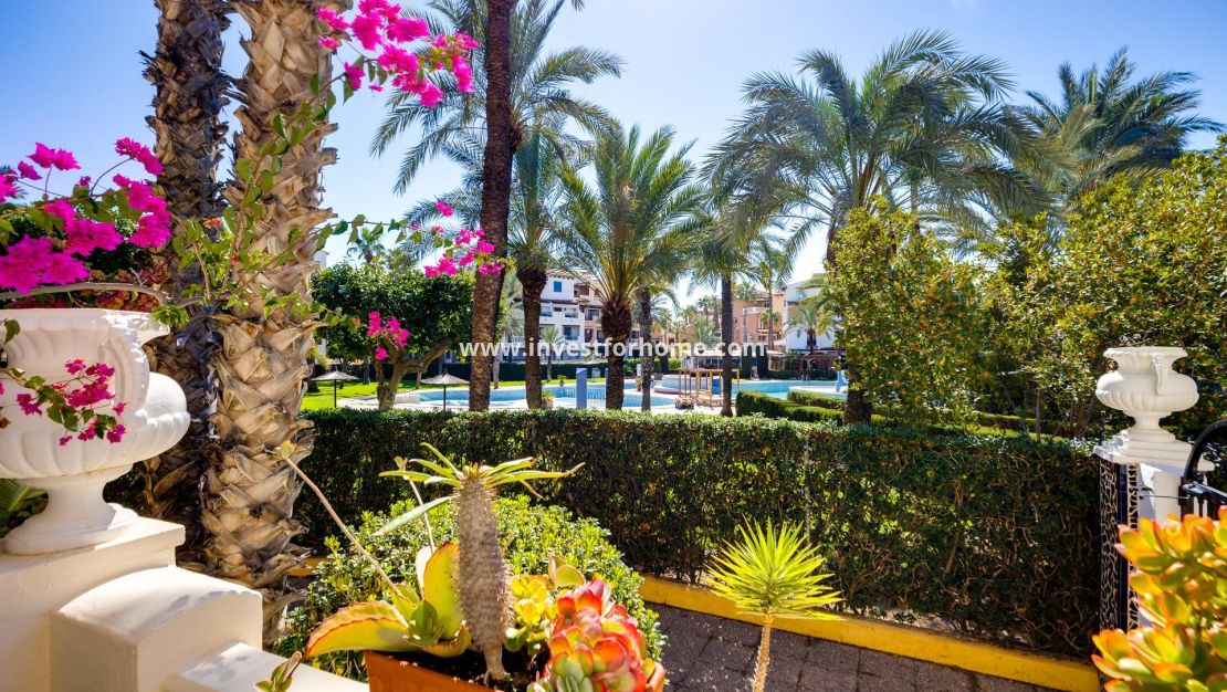 Reventa - Apartamento - Torrevieja - Playa de los Locos