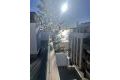 Reventa - Apartamento - Torrevieja - Playa de los Locos