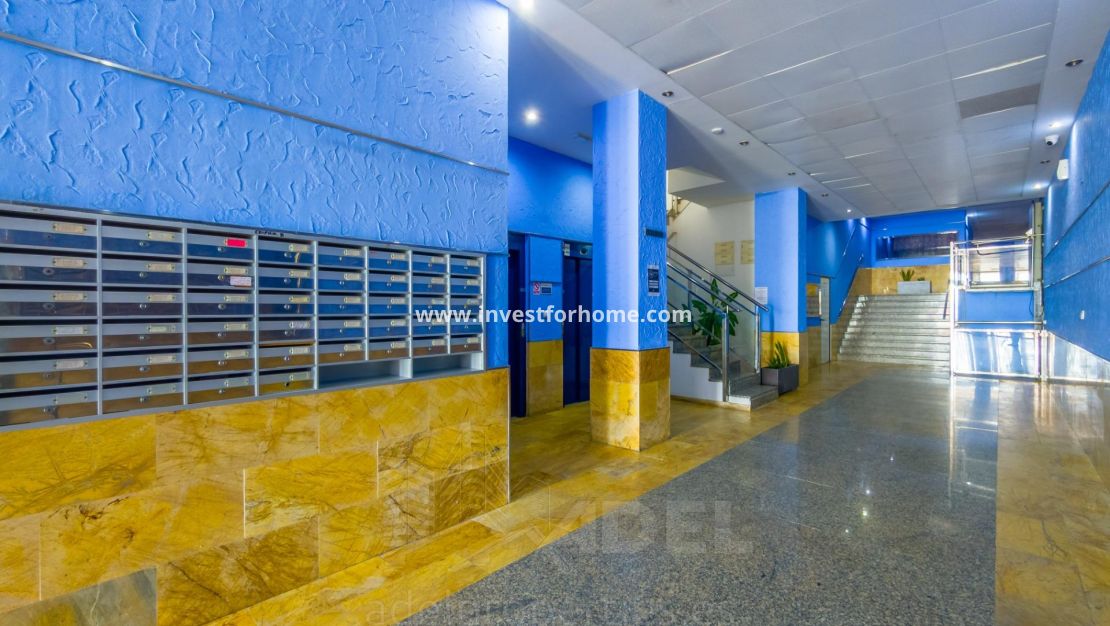 Reventa - Apartamento - Torrevieja - Playa de los Locos