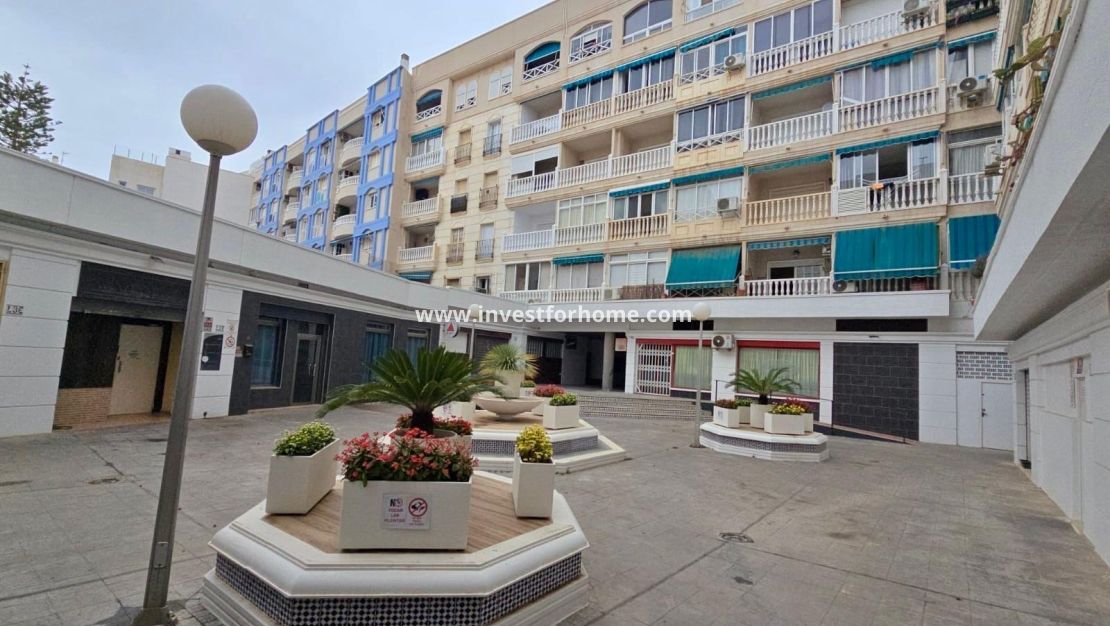 Reventa - Apartamento - Torrevieja - Playa de los Locos