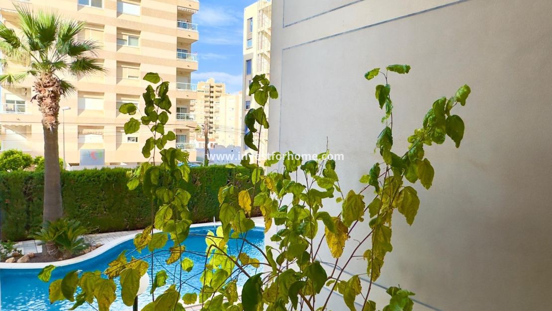 Reventa - Apartamento - Torrevieja - Playa del Cura