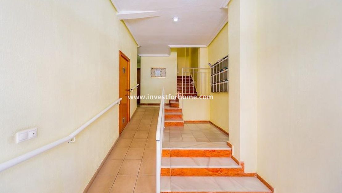 Reventa - Apartamento - Torrevieja - Playa del Cura