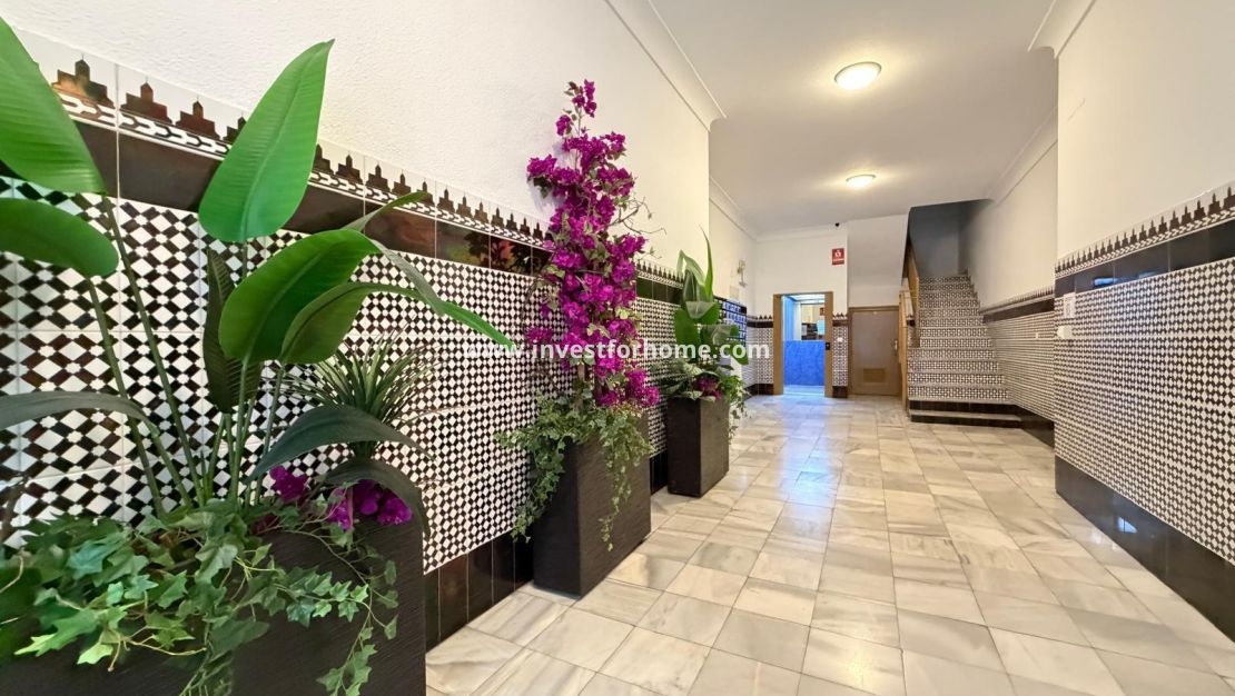 Reventa - Apartamento - Torrevieja - Playa del Cura
