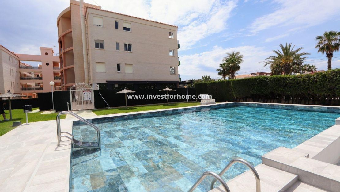 Reventa - Apartamento - Torrevieja - Playa Flamenca