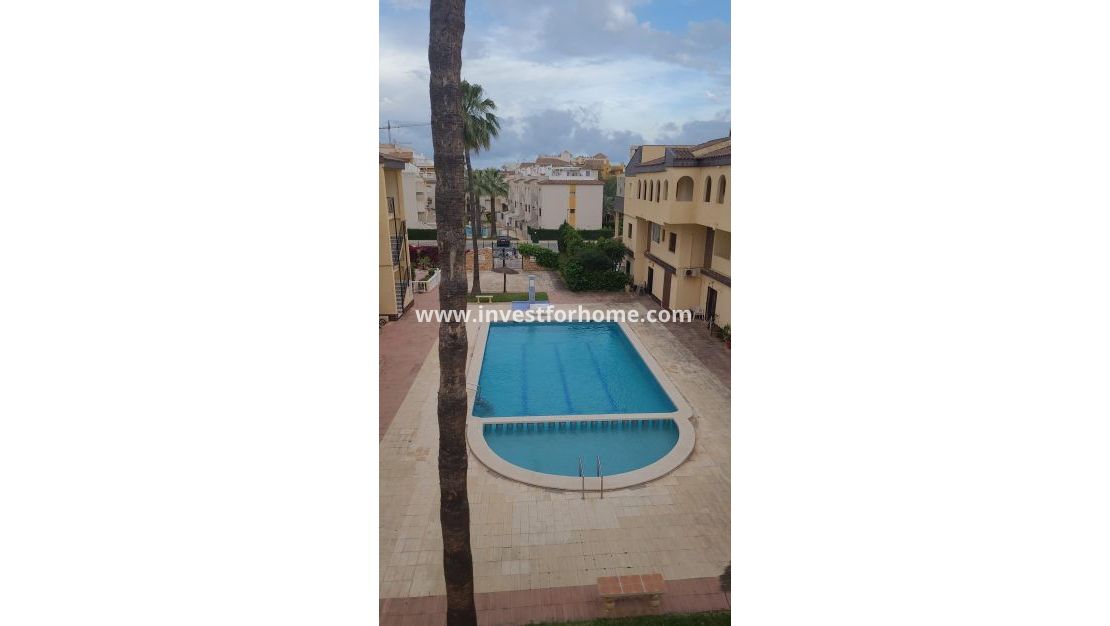 Reventa - Apartamento - Torrevieja - Punta prima