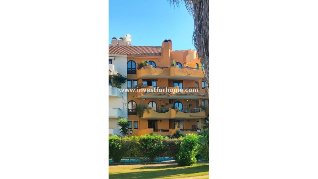 Reventa - Apartamento - Torrevieja - Punta prima