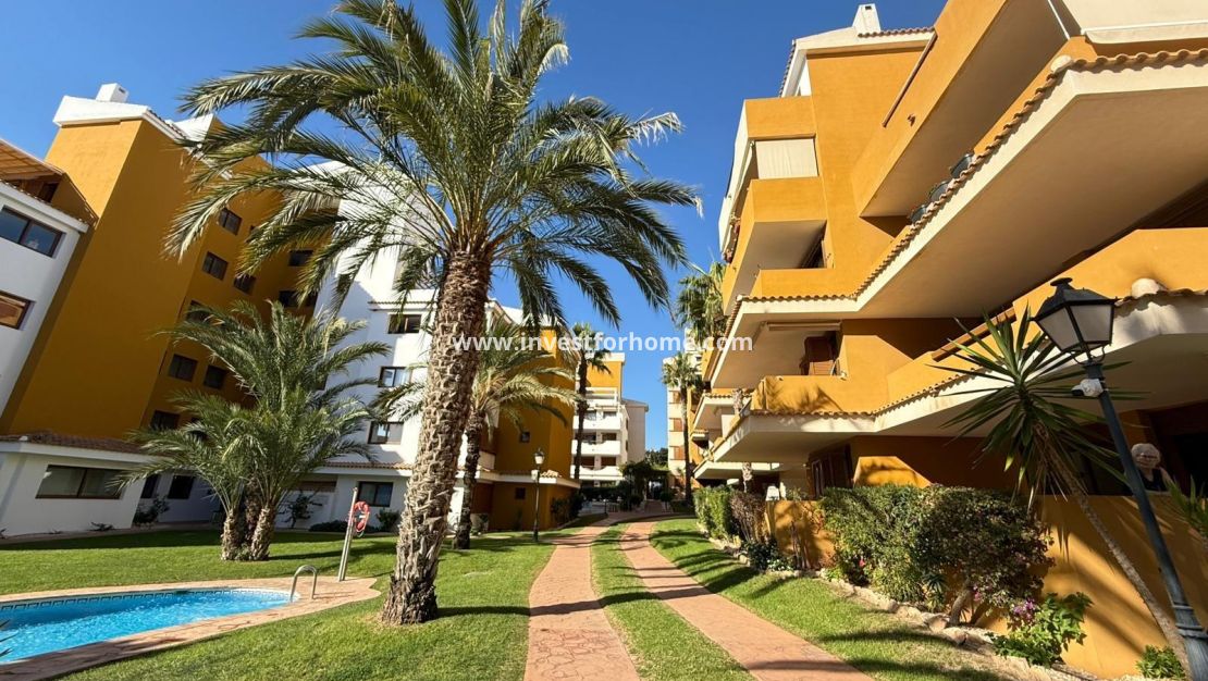 Reventa - Apartamento - Torrevieja - Punta prima