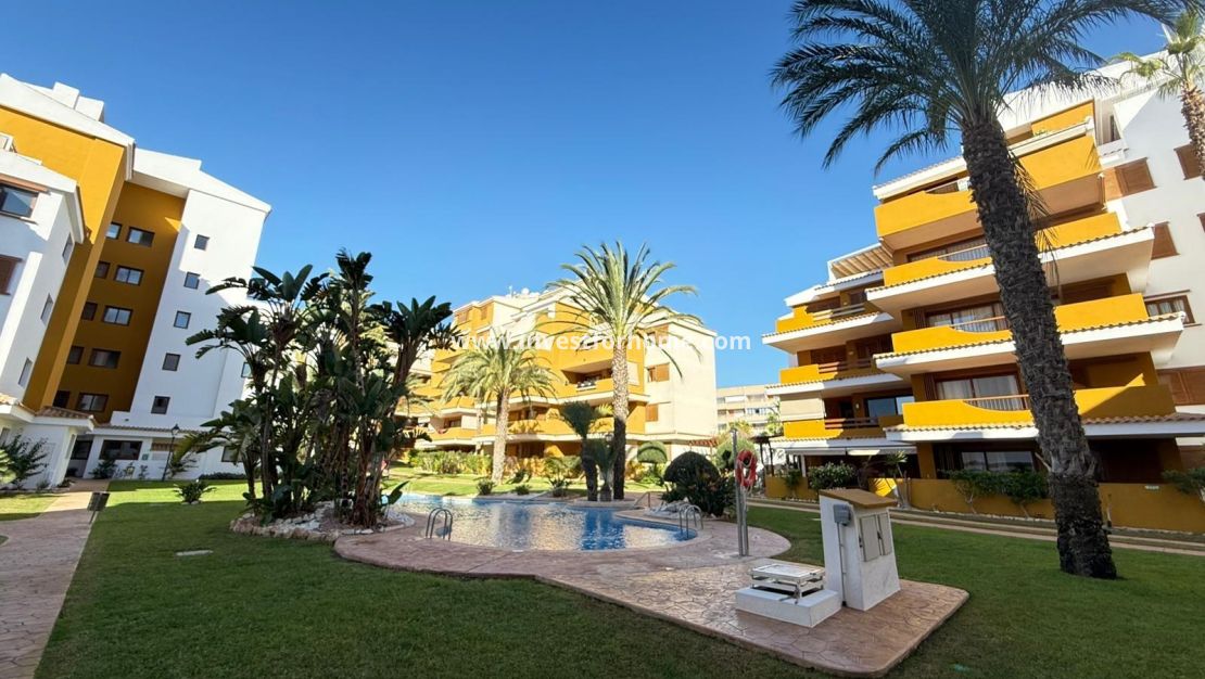 Reventa - Apartamento - Torrevieja - Punta prima