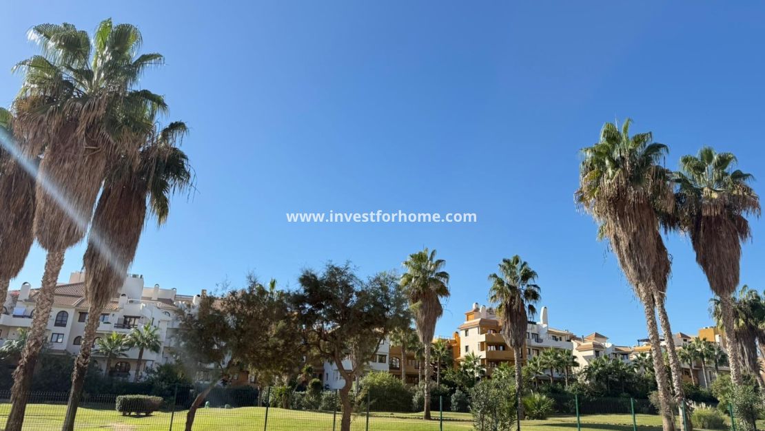 Reventa - Apartamento - Torrevieja - Punta prima