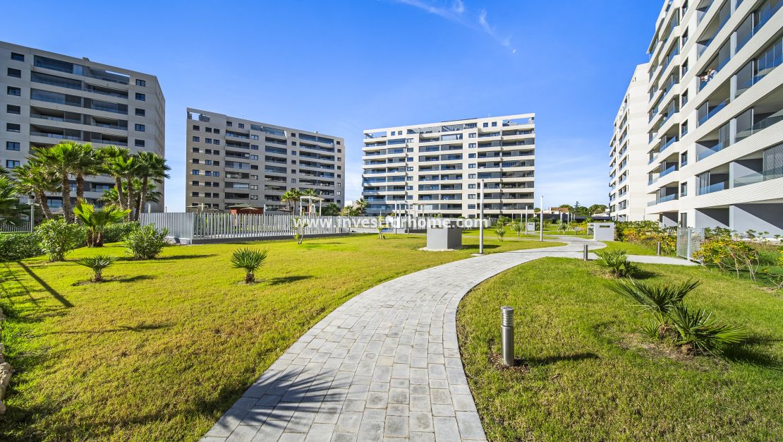 Reventa - Apartamento - Torrevieja - Punta prima