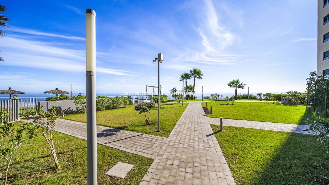 Reventa - Apartamento - Torrevieja - Punta prima
