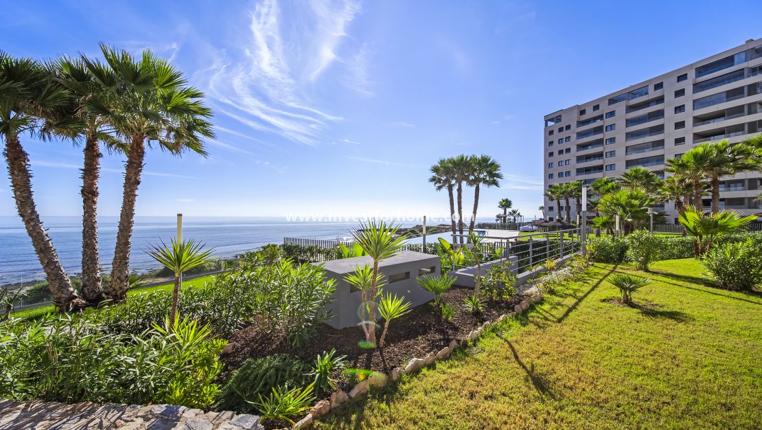 Reventa - Apartamento - Torrevieja - Punta prima