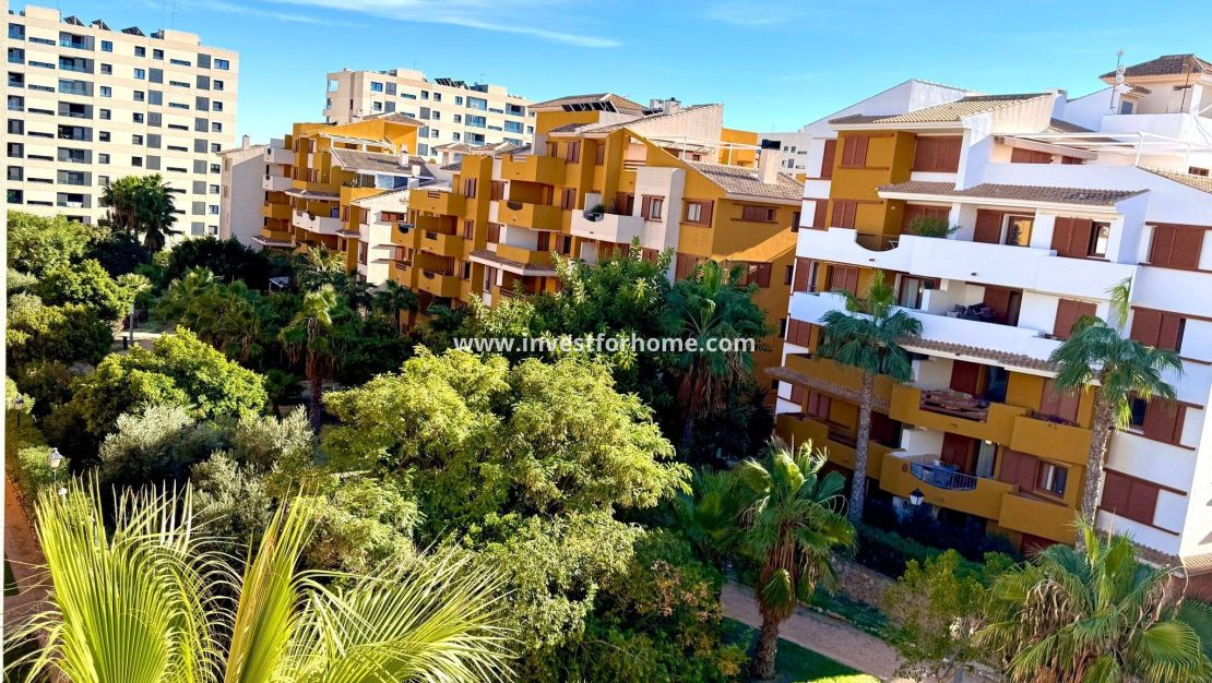 Reventa - Apartamento - Torrevieja - Punta prima
