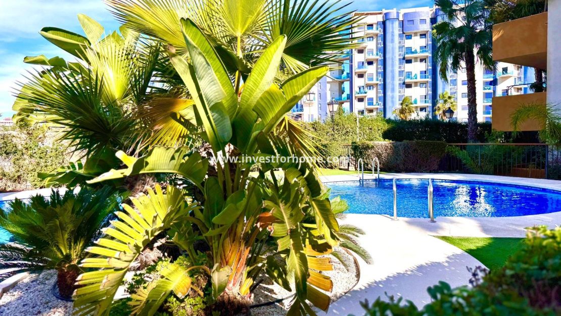 Reventa - Apartamento - Torrevieja - Punta prima