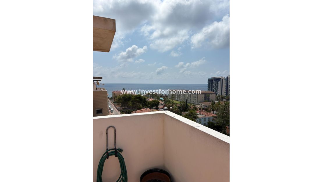 Reventa - Apartamento - Torrevieja - Punta prima