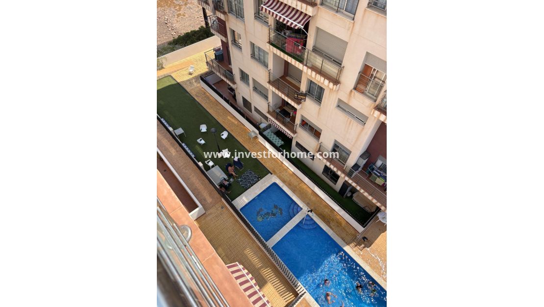 Reventa - Apartamento - Torrevieja - Punta prima