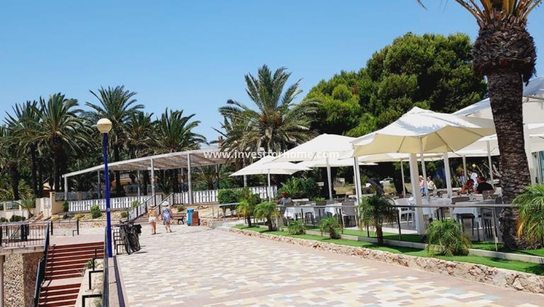 Reventa - Apartamento - Torrevieja - Punta prima