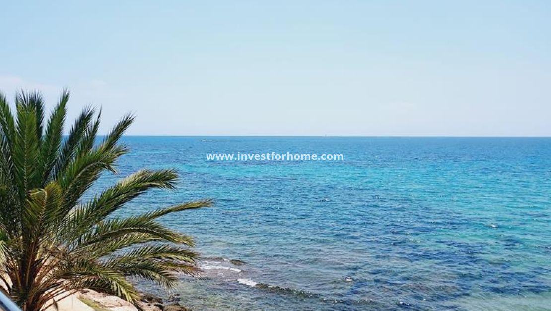 Reventa - Apartamento - Torrevieja - Punta prima