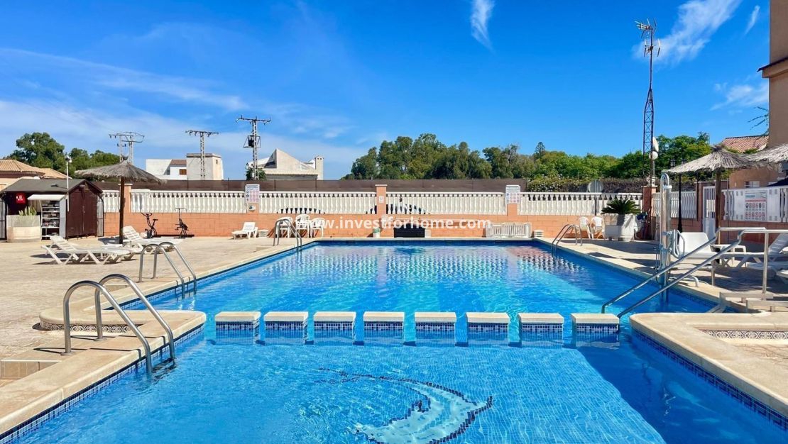 Reventa - Apartamento - Torrevieja - Punta prima