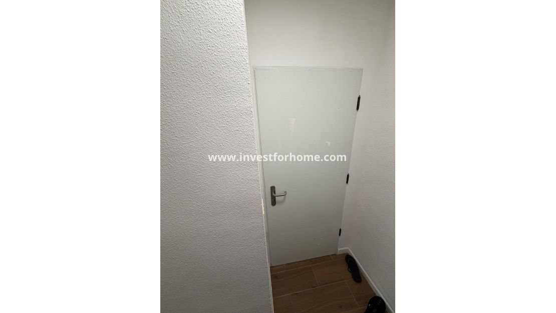 Reventa - Apartamento - Torrevieja - Punta prima