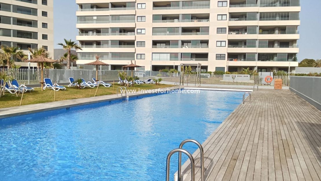 Reventa - Apartamento - Torrevieja - Punta prima
