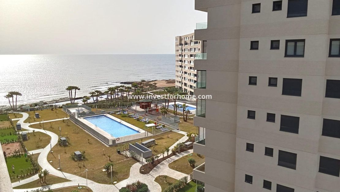 Reventa - Apartamento - Torrevieja - Punta prima