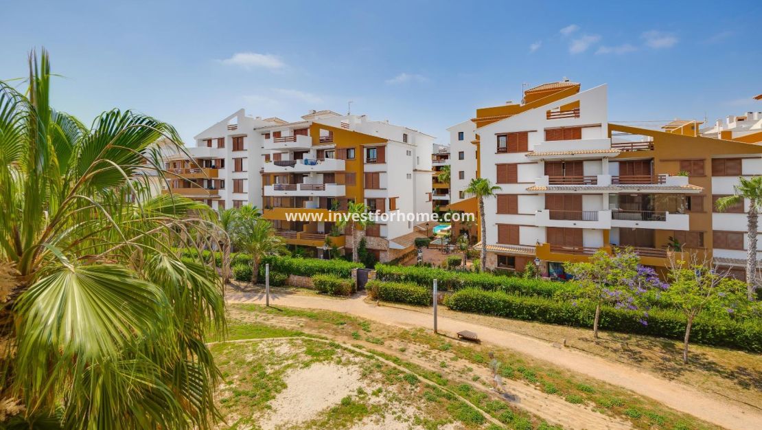 Reventa - Apartamento - Torrevieja - Punta prima
