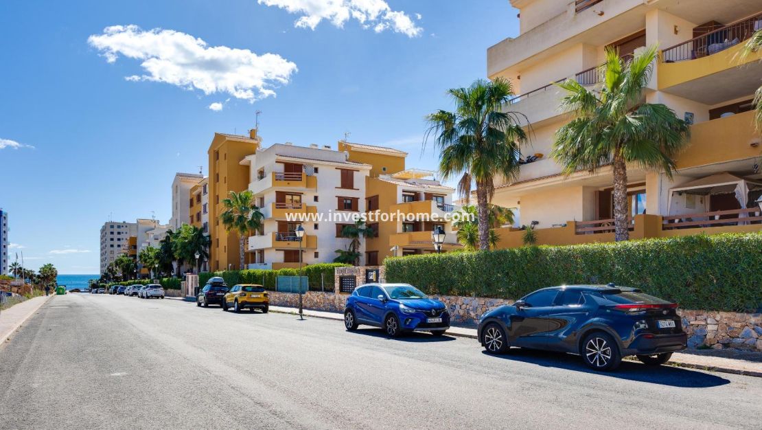 Reventa - Apartamento - Torrevieja - Punta prima