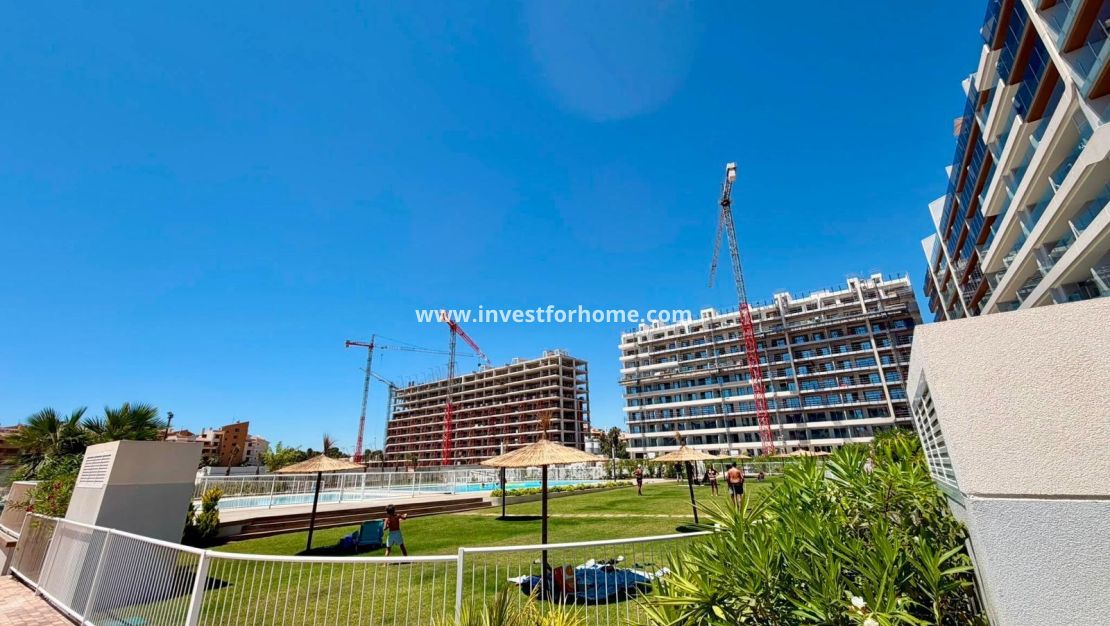 Reventa - Apartamento - Torrevieja - Punta prima