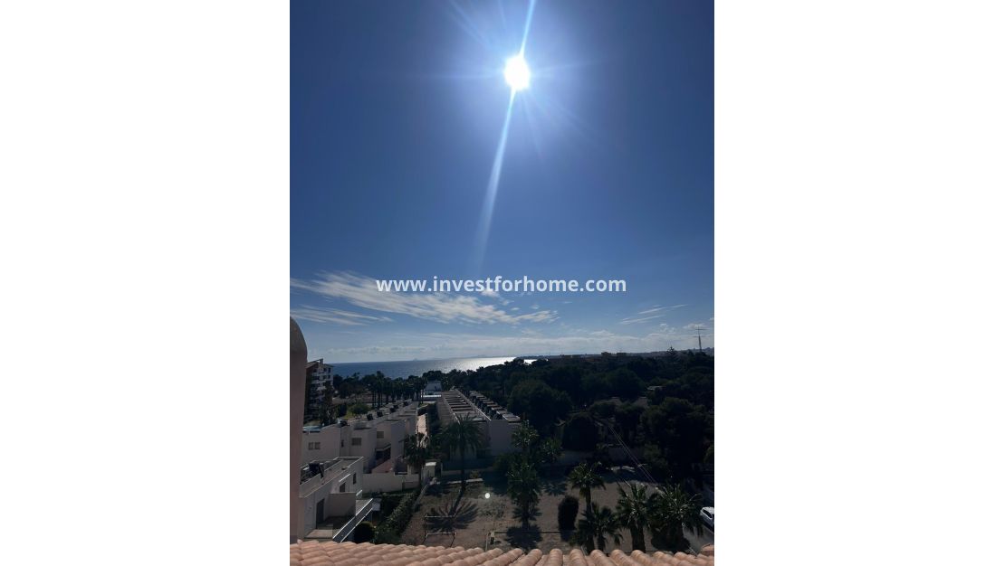 Reventa - Apartamento - Torrevieja - Punta prima