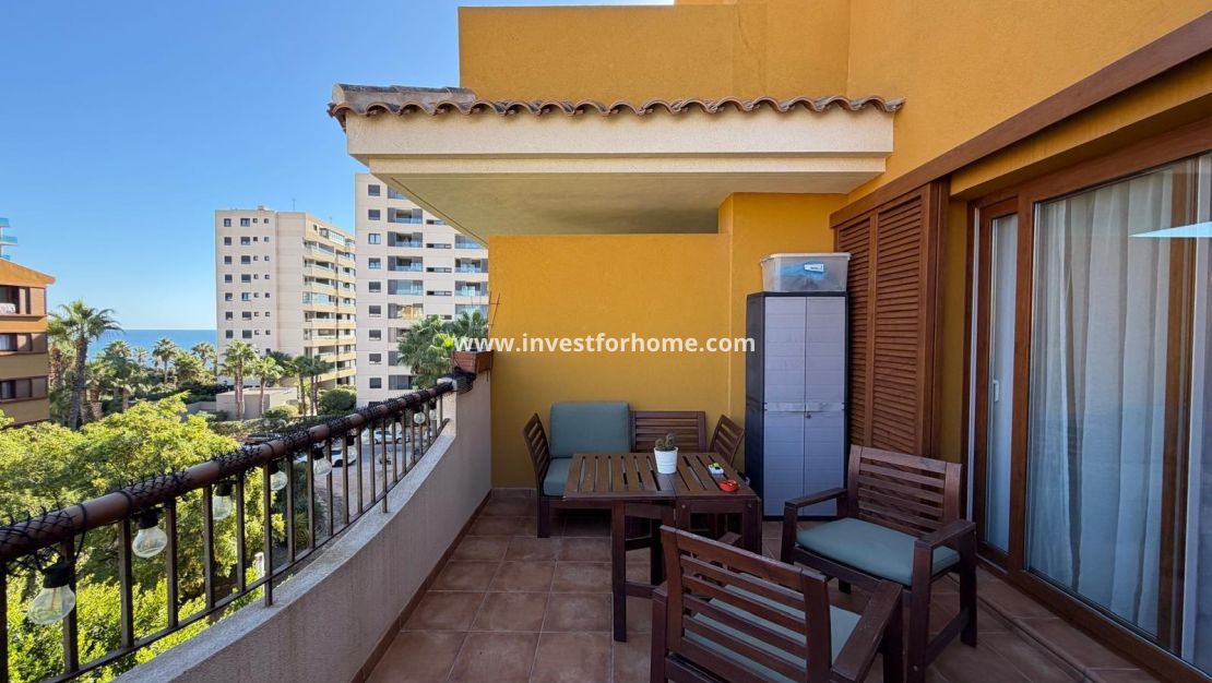 Reventa - Apartamento - Torrevieja - Punta prima