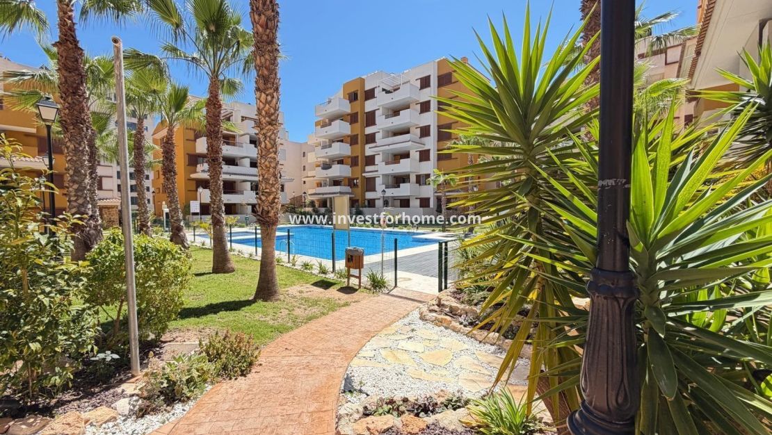 Reventa - Apartamento - Torrevieja - Punta prima