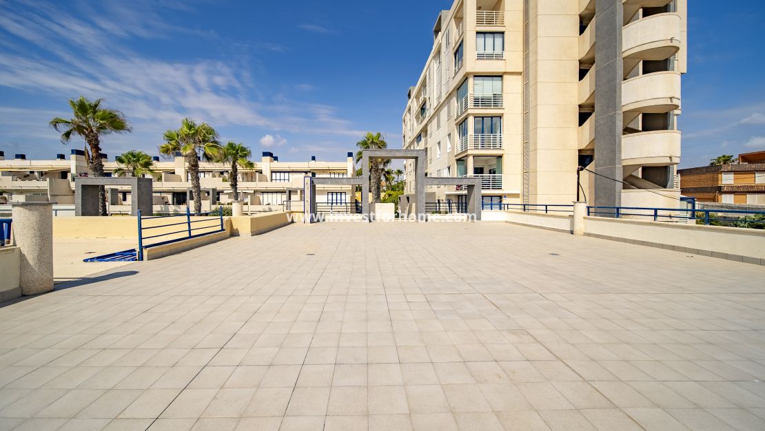 Reventa - Apartamento - Torrevieja - Torrelamata - La Mata