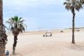 Reventa - Apartamento - Torrevieja - Torrelamata - La Mata