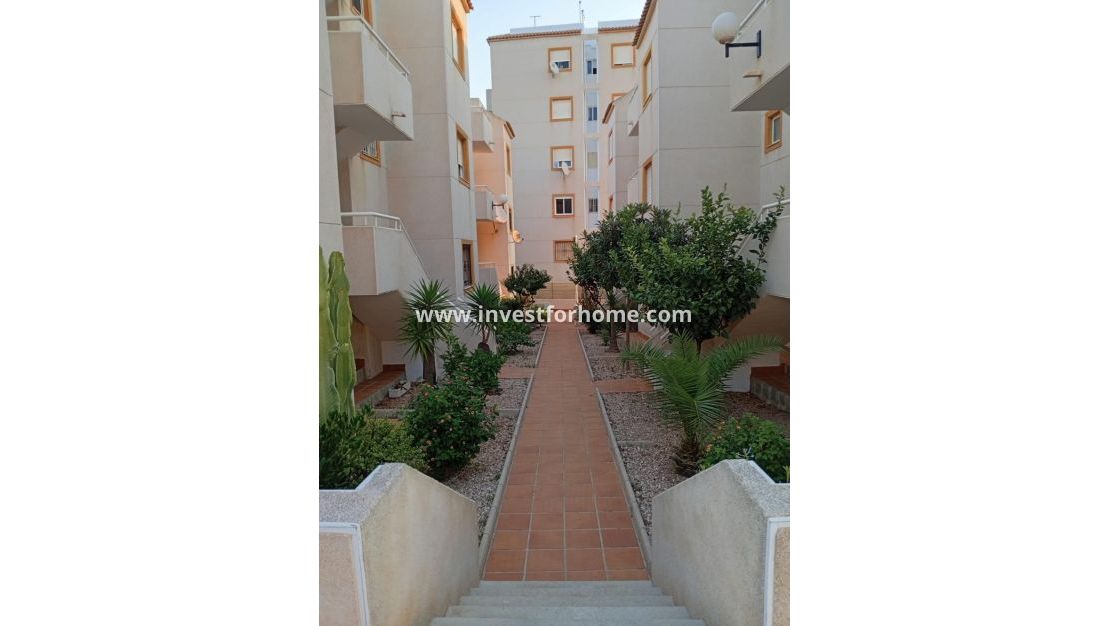 Reventa - Apartamento - Torrevieja - Torrelamata - La Mata