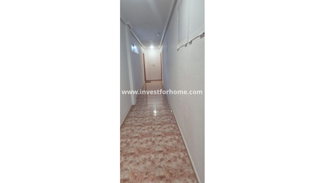 Reventa - Apartamento - Torrevieja - Torrelamata - La Mata