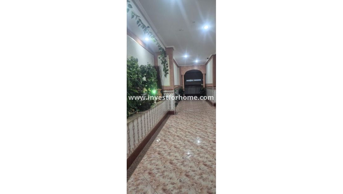 Reventa - Apartamento - Torrevieja - Torrelamata - La Mata