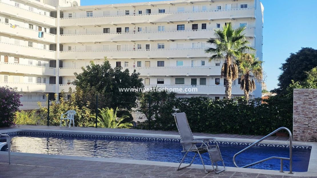 Reventa - Apartamento - Torrevieja - Torrelamata - La Mata