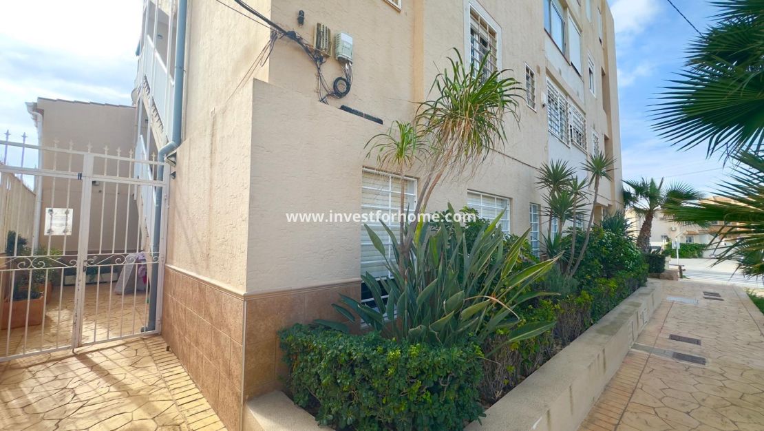 Reventa - Apartamento - Torrevieja - Zona Los Frutales