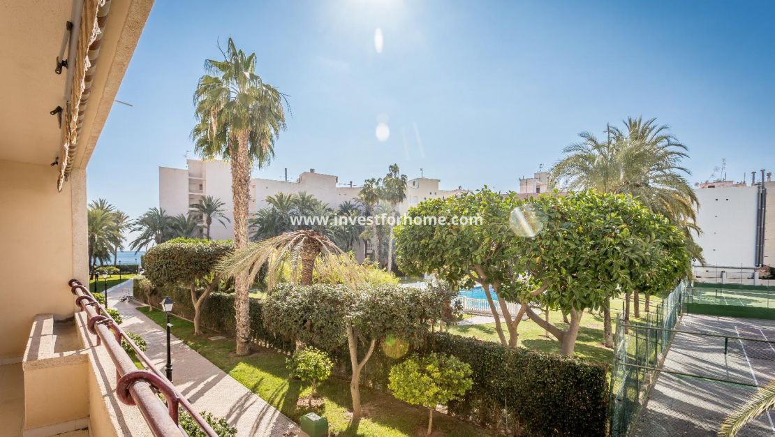 Reventa - Apartamento - Torrevieja