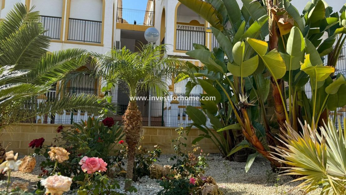Reventa - Bungalow - Torrevieja - Cañada Del Molino
