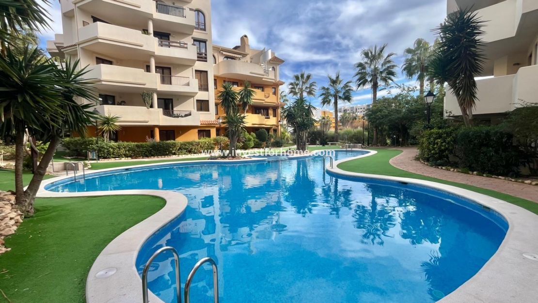 Reventa - Bungalow - Torrevieja - Punta prima