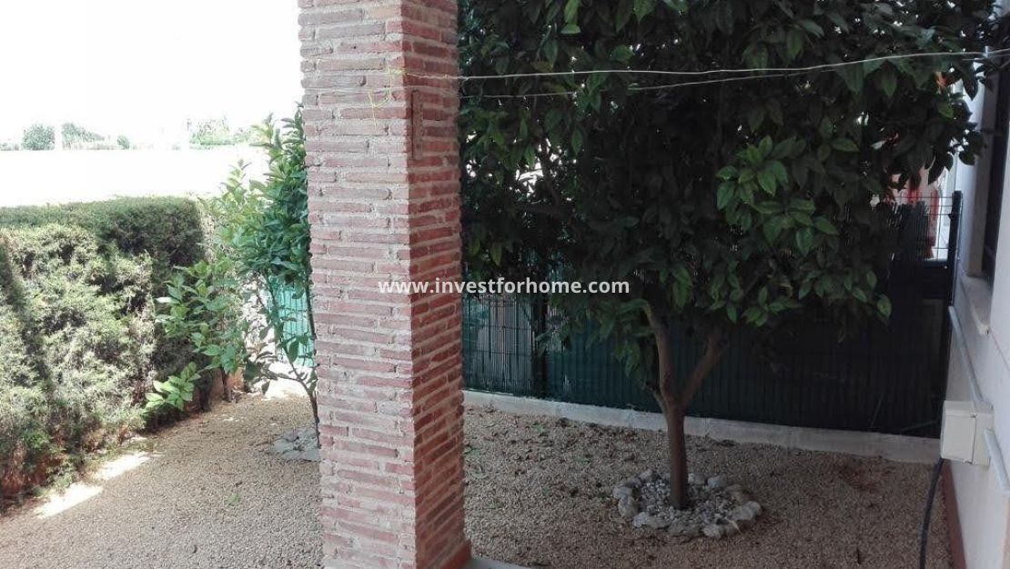 Reventa - Casa - Daya vieja